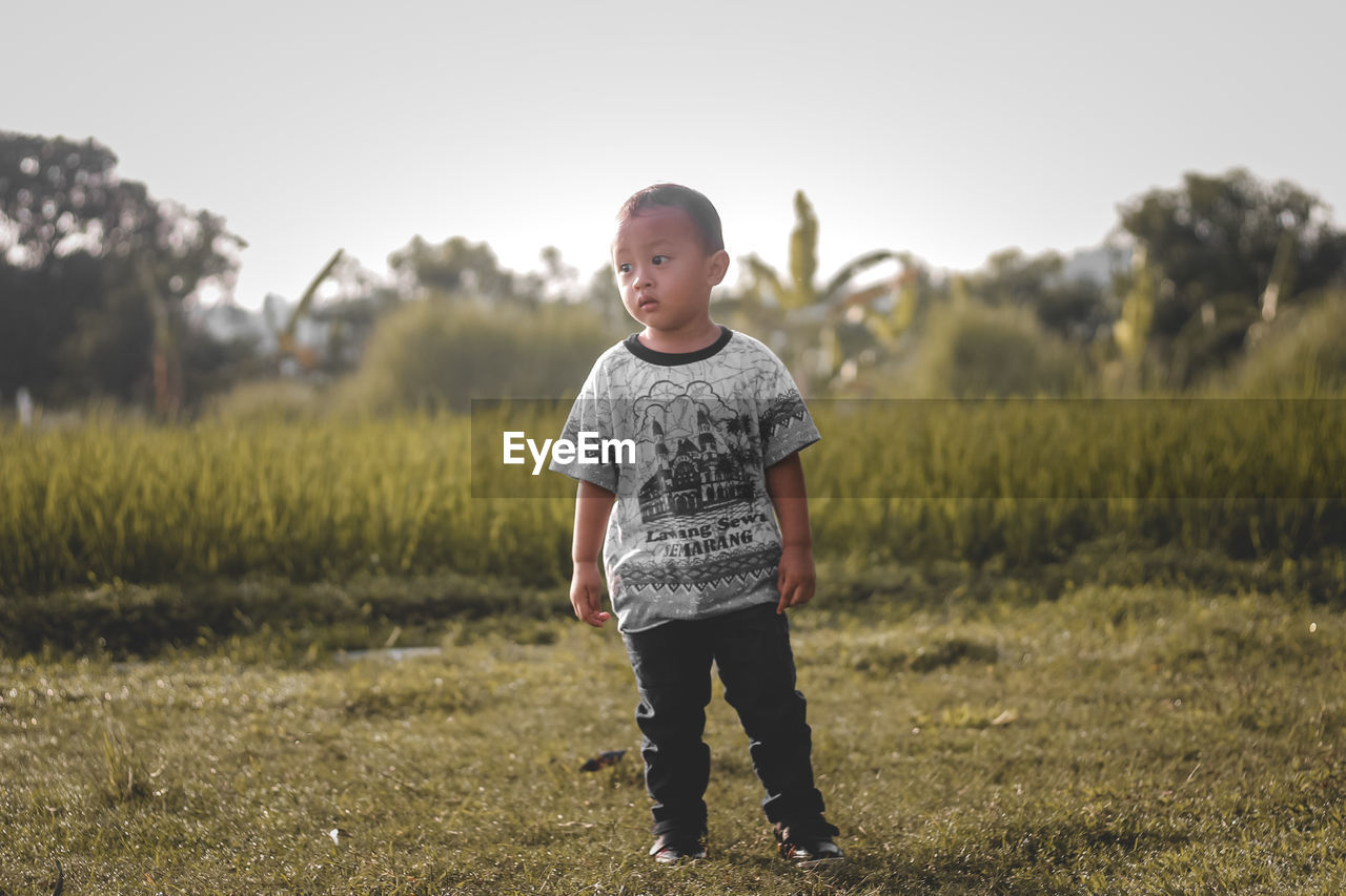 Portrait of toddler boy standing on field