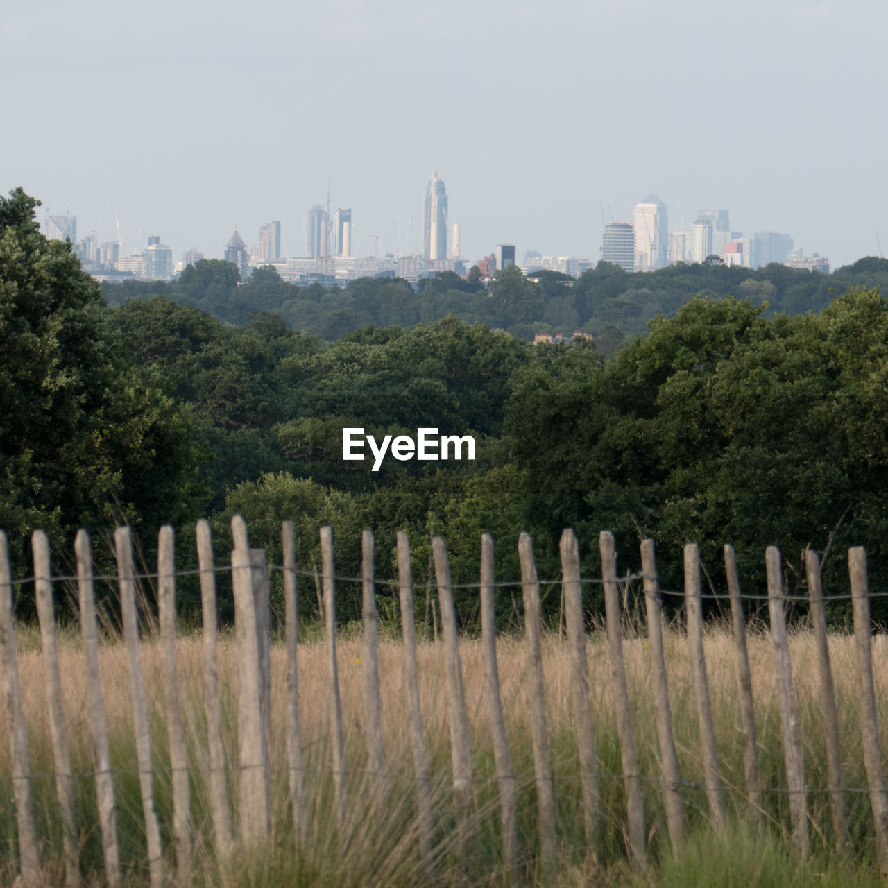 TREES IN FIELD AGAINST CITYSCAPE