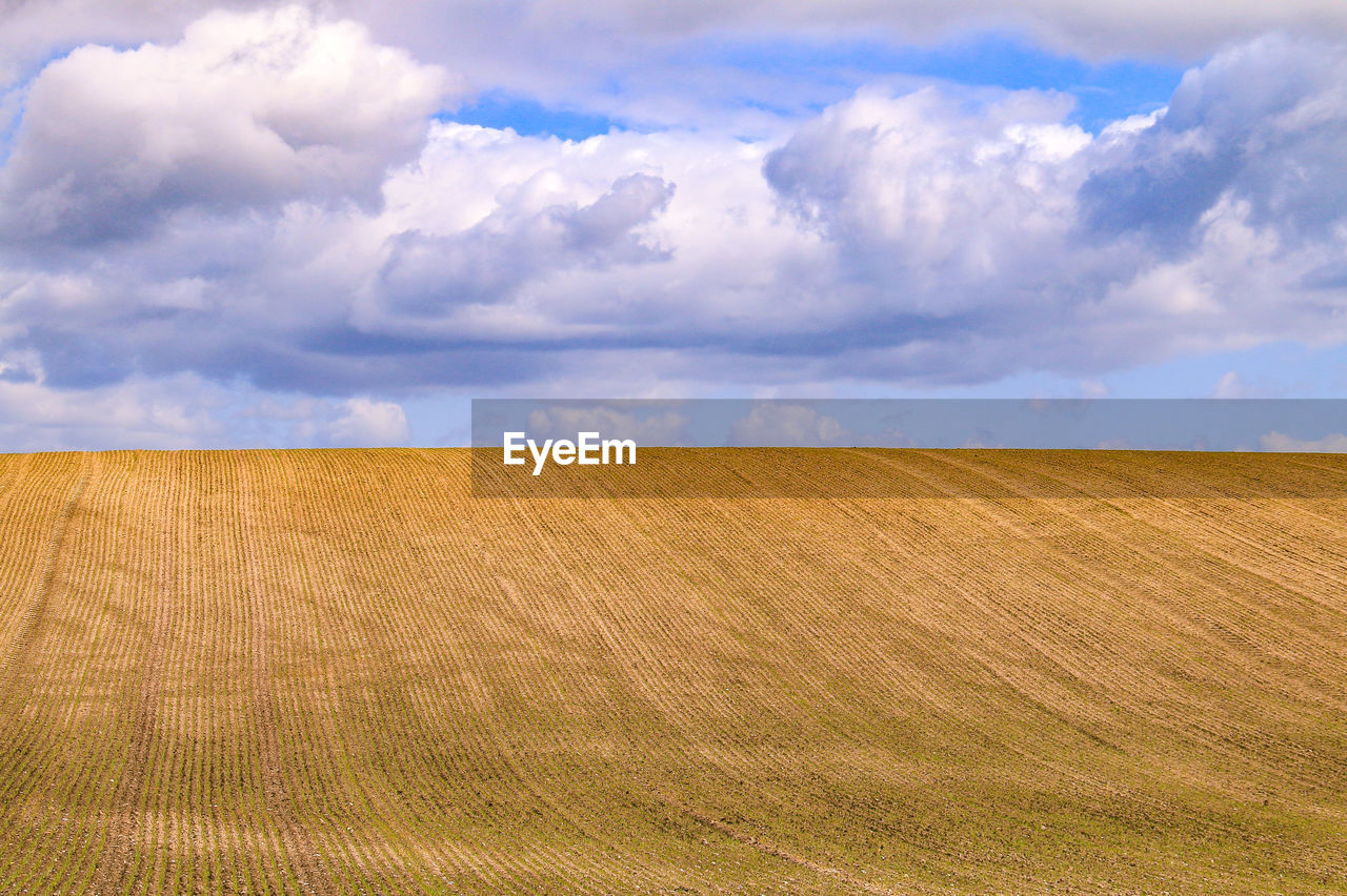 FIELD AGAINST CLOUDY SKY