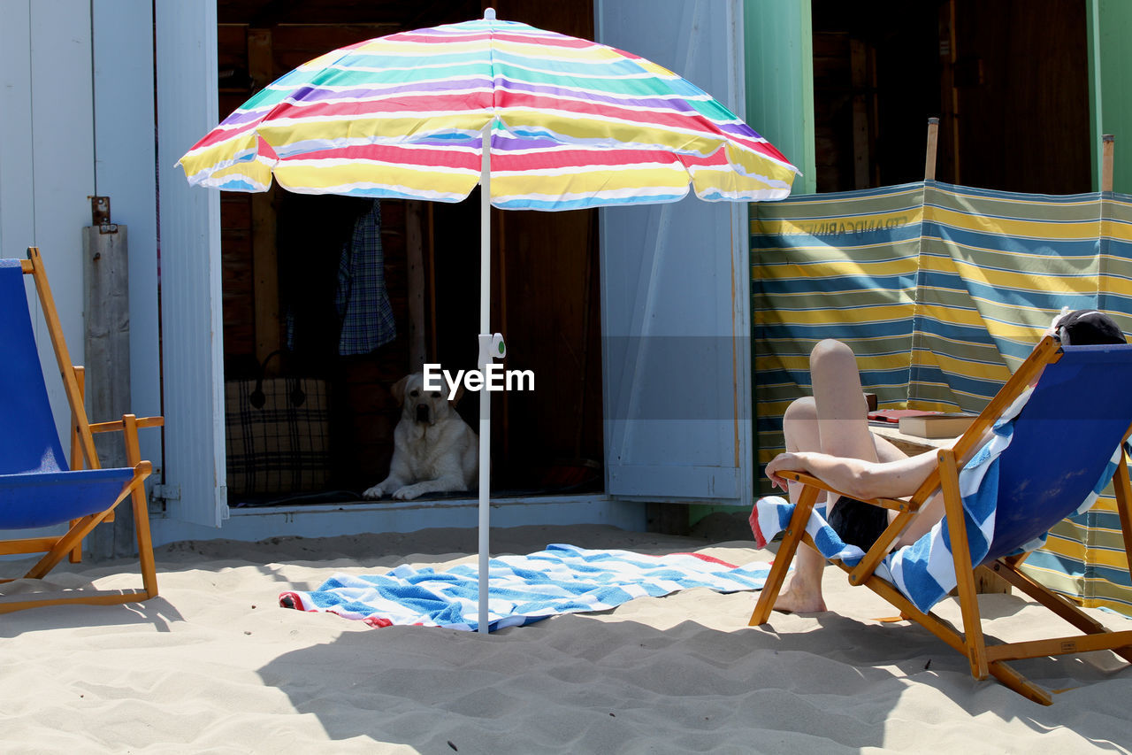 Person relaxing on chair with labrador retriever in hut at beach