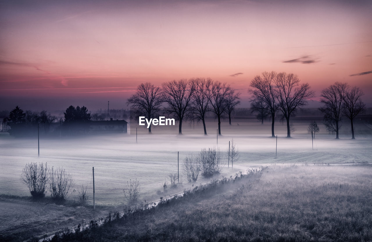 Trees on snow covered landscape against sky during sunset