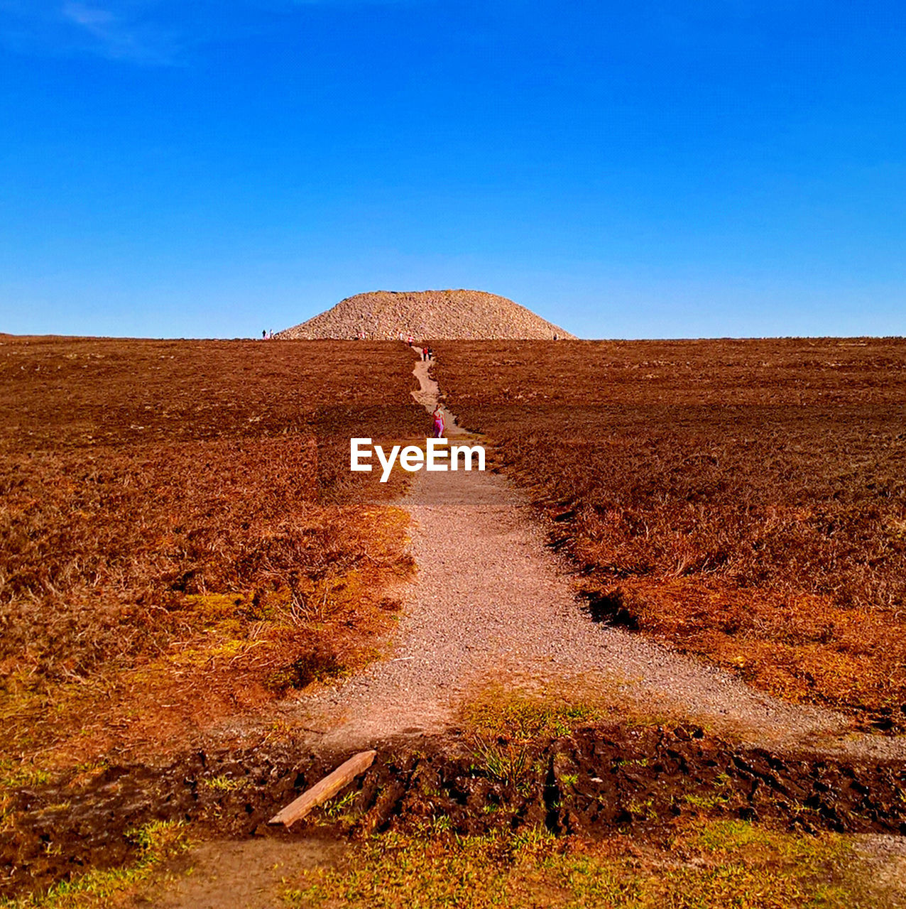 WOMAN STANDING ON LANDSCAPE AGAINST CLEAR SKY