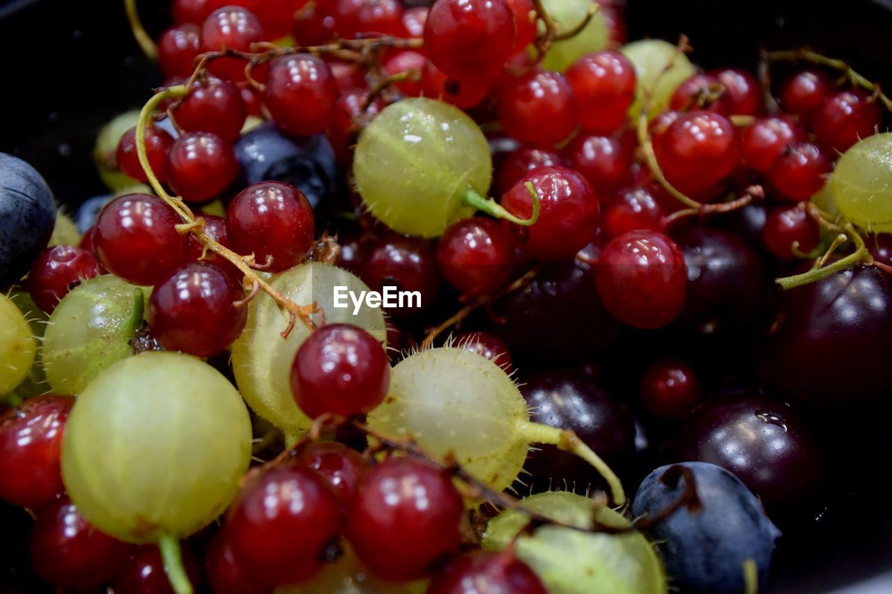 CLOSE-UP OF GRAPES