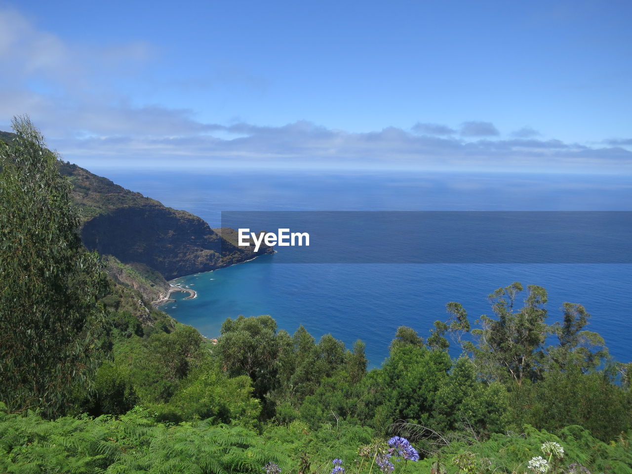 High angle view of trees by sea against sky