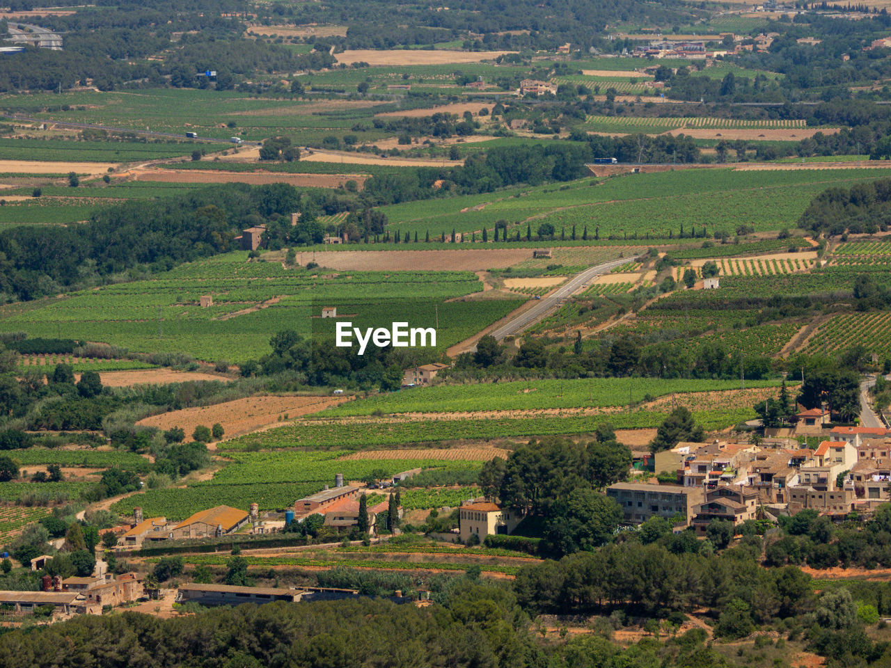 Scenic view of the agricultural field by houses and trees