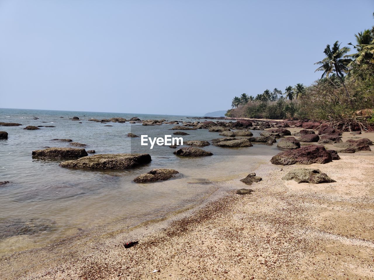 SCENIC VIEW OF ROCKS ON BEACH AGAINST CLEAR SKY