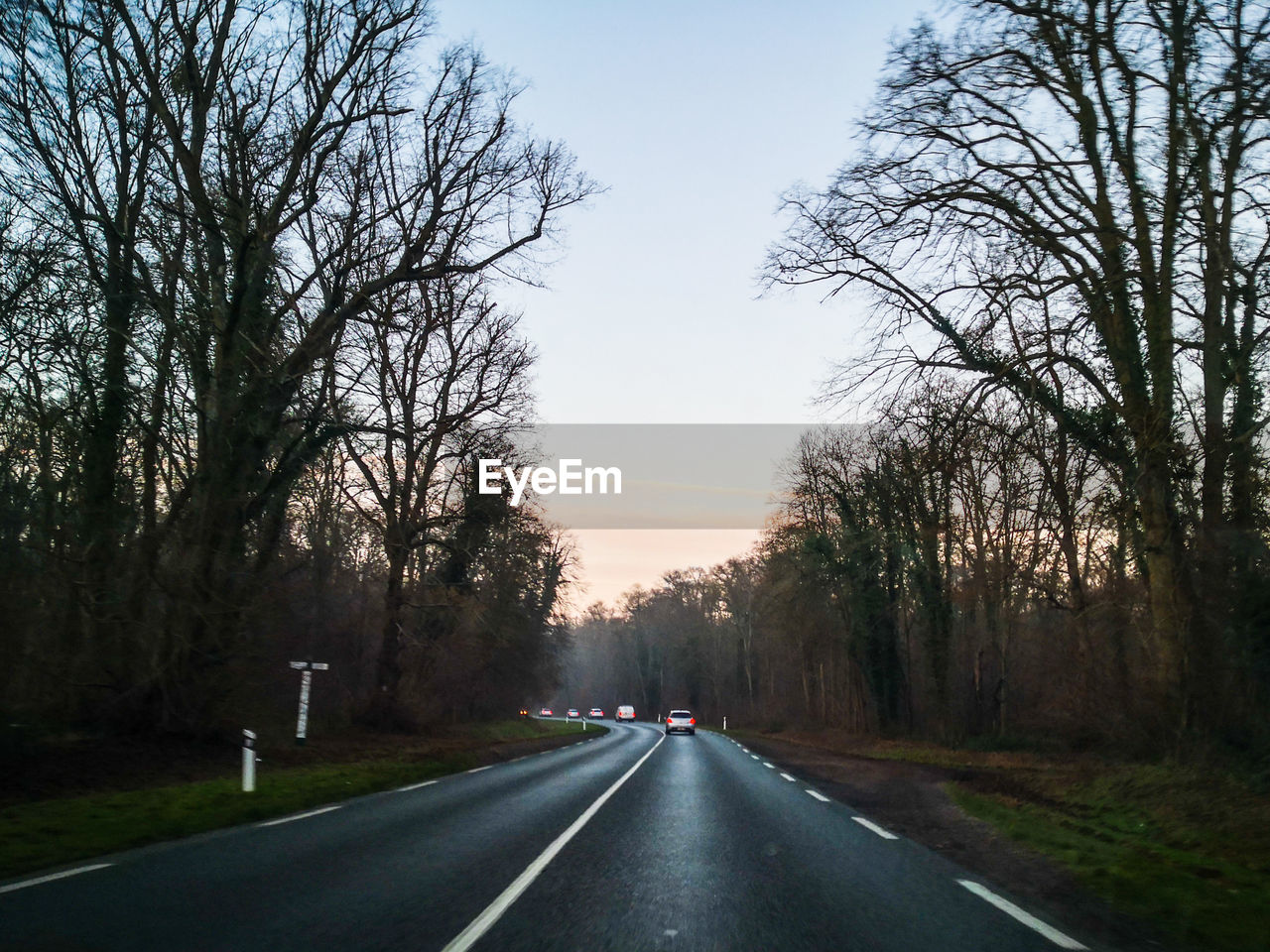 VIEW OF ROAD ALONG TREES