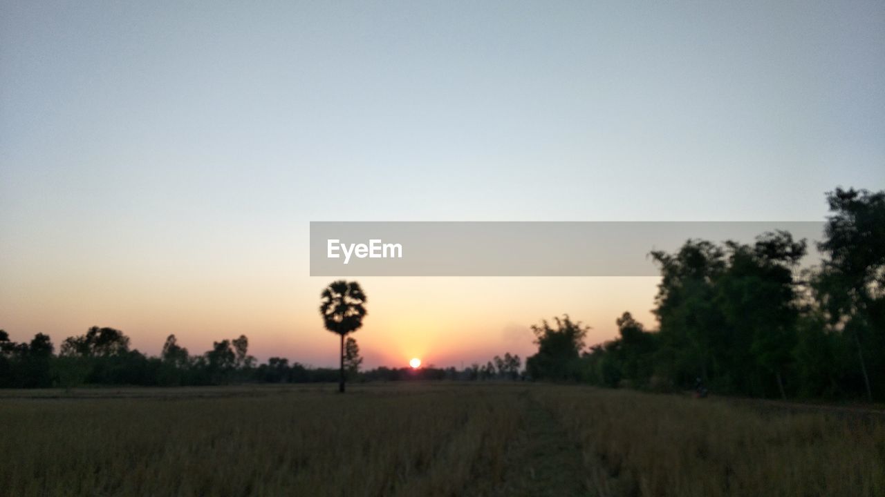 SCENIC VIEW OF FIELD AGAINST CLEAR SKY DURING SUNSET