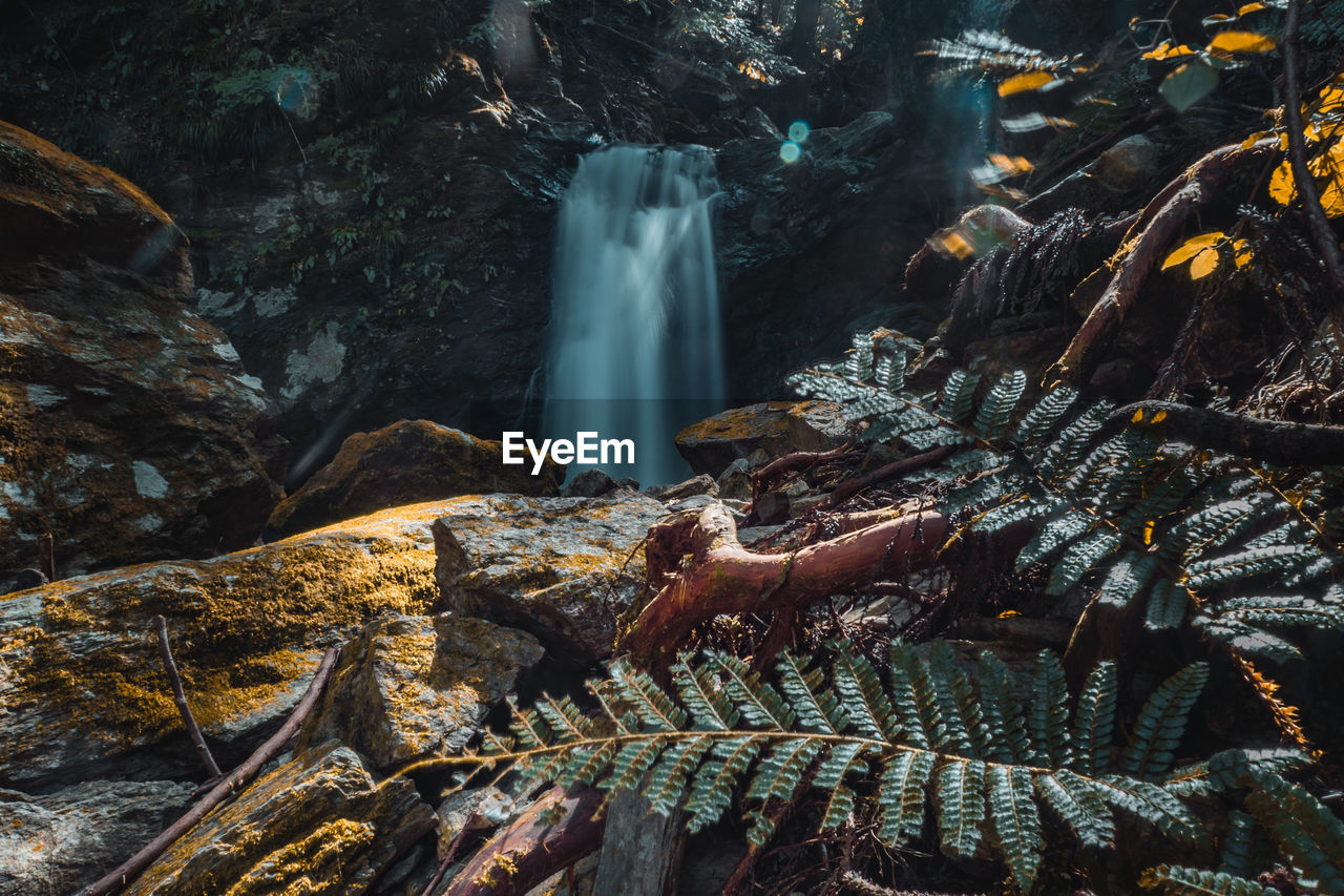 High angle view of waterfall in forest with leaves in foreground 