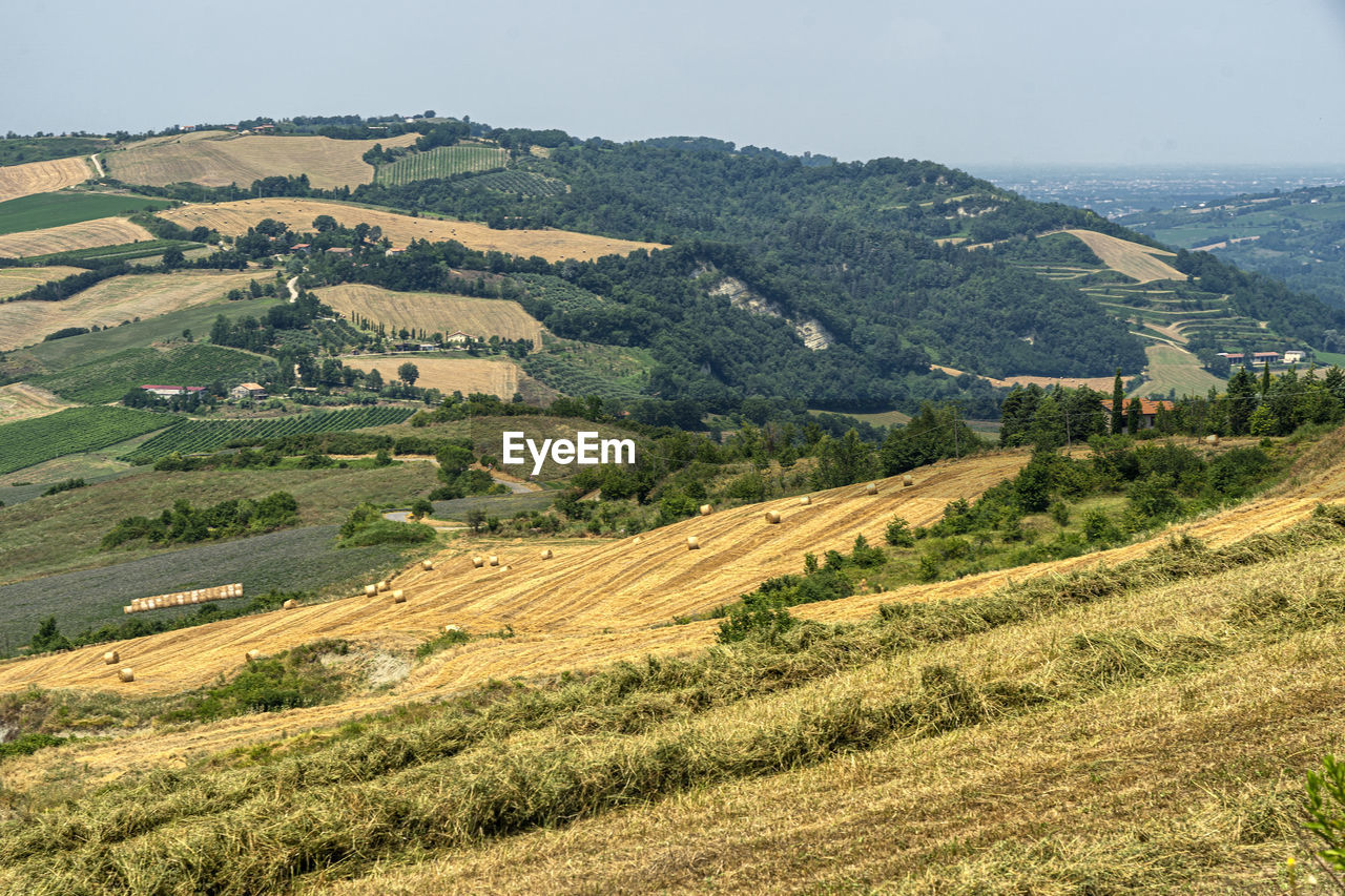 SCENIC VIEW OF FARM AGAINST SKY