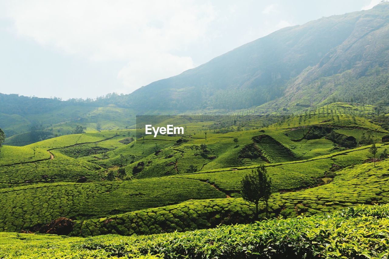 Scenic view of mountains against cloudy sky