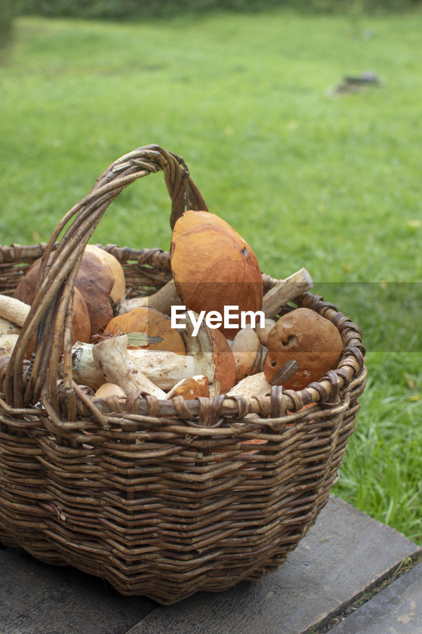 Close-up of mushrooms in basket