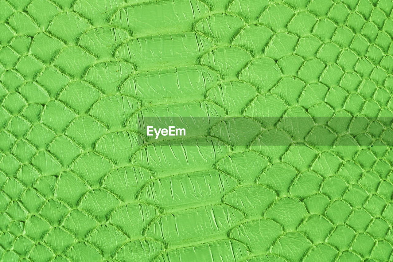 FULL FRAME SHOT OF GREEN LEAF WITH PATTERN