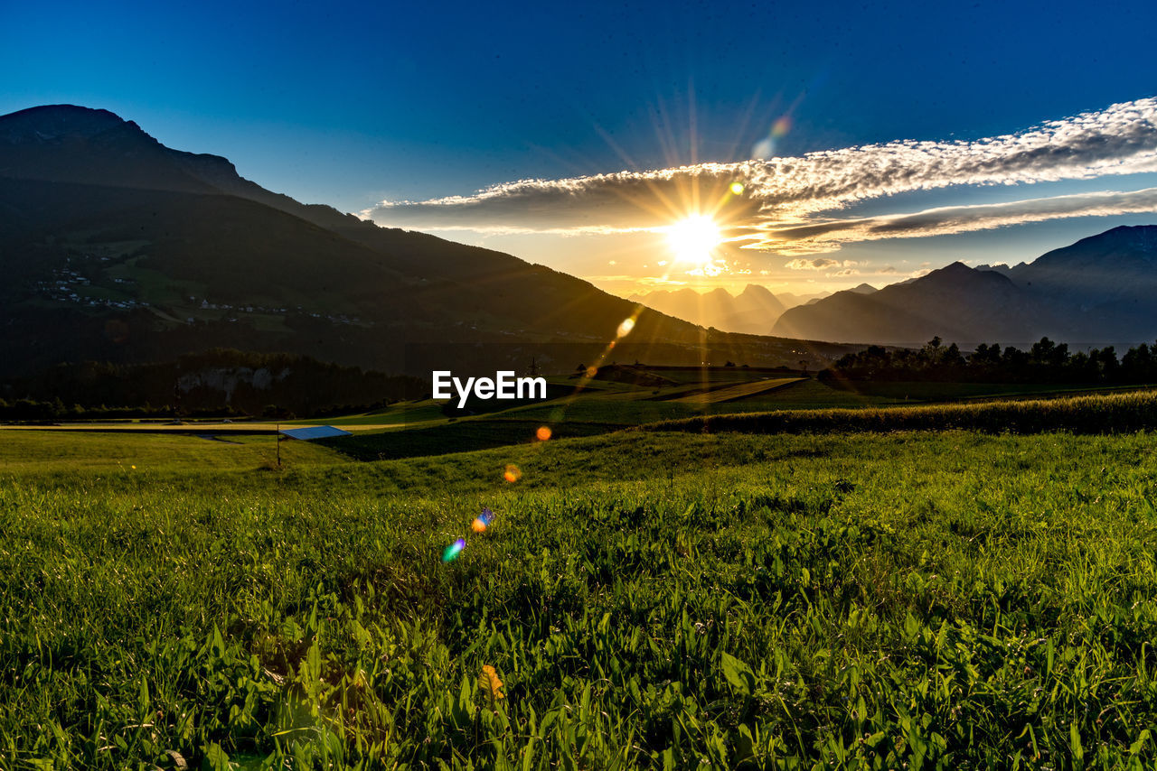 Scenic view of field against sky during sunset