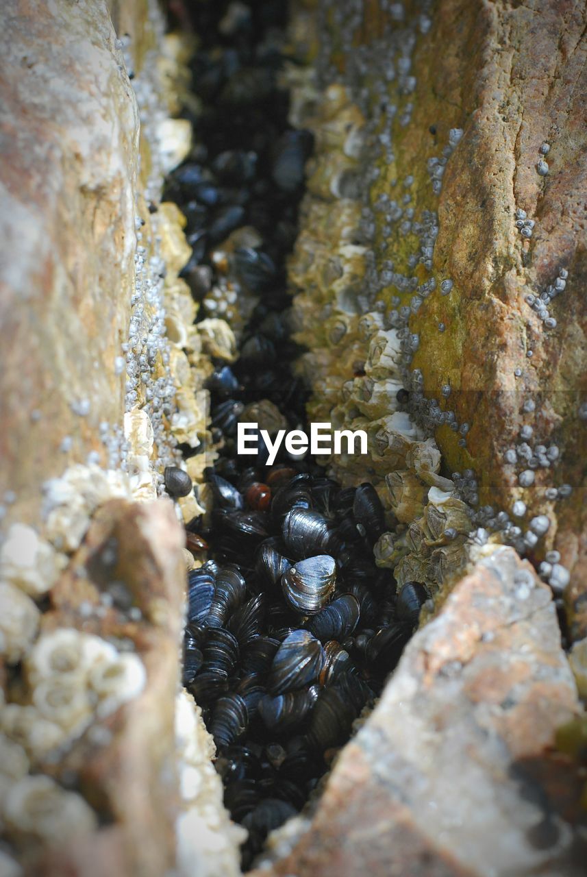 CLOSE-UP OF ROCKS ON ROCK