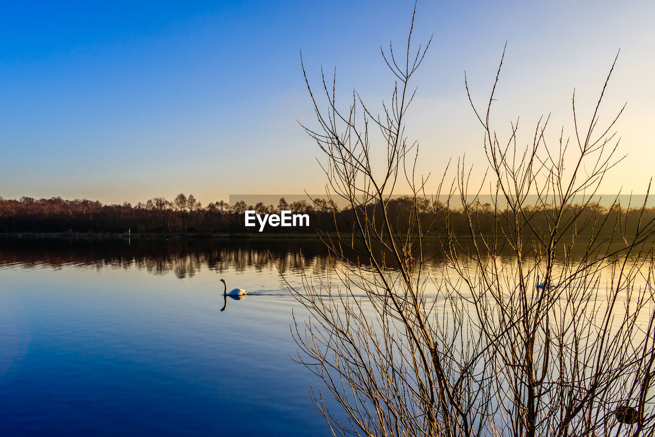 Scenic view of lake at sunset