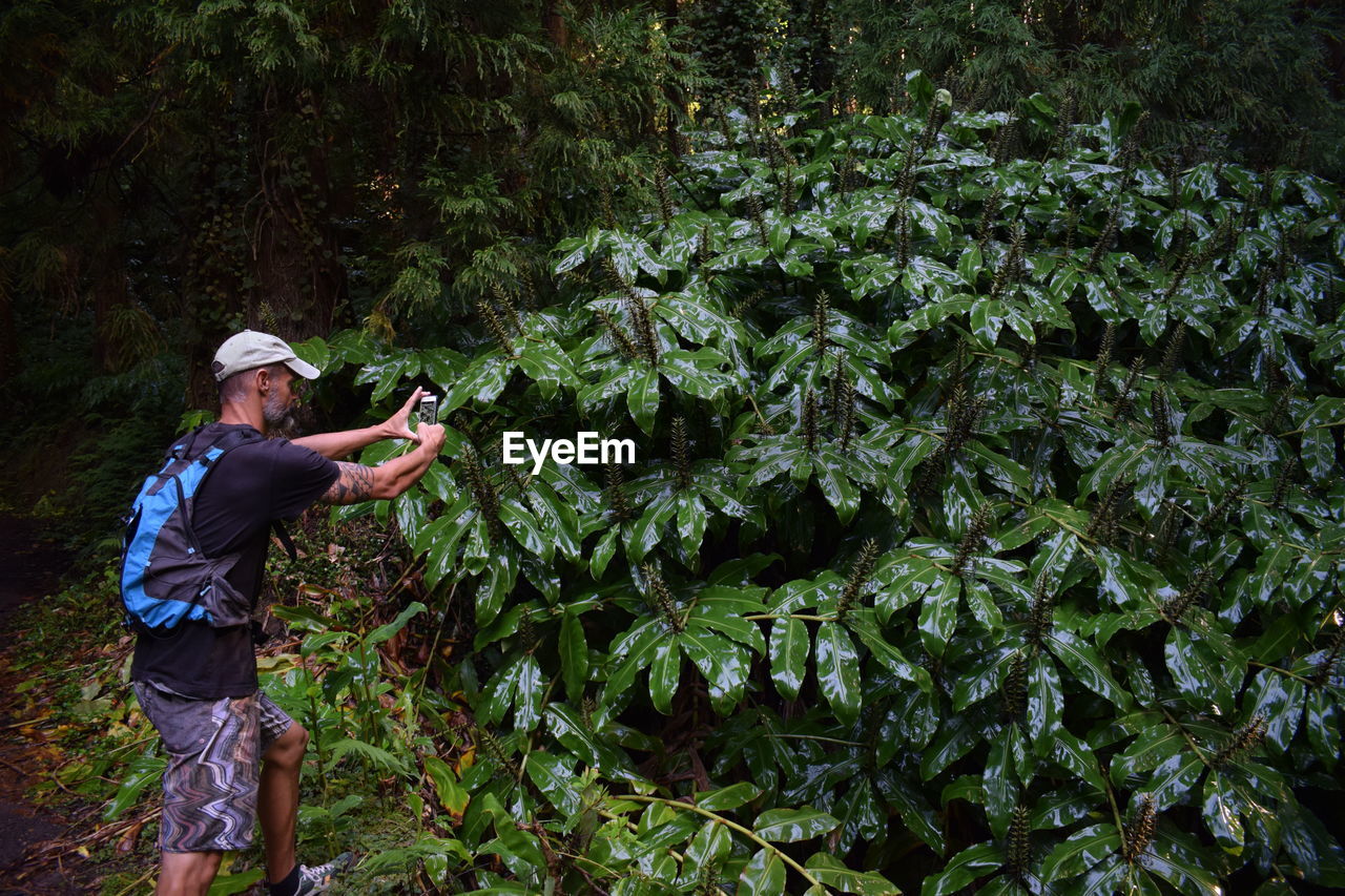 Man photographing against trees