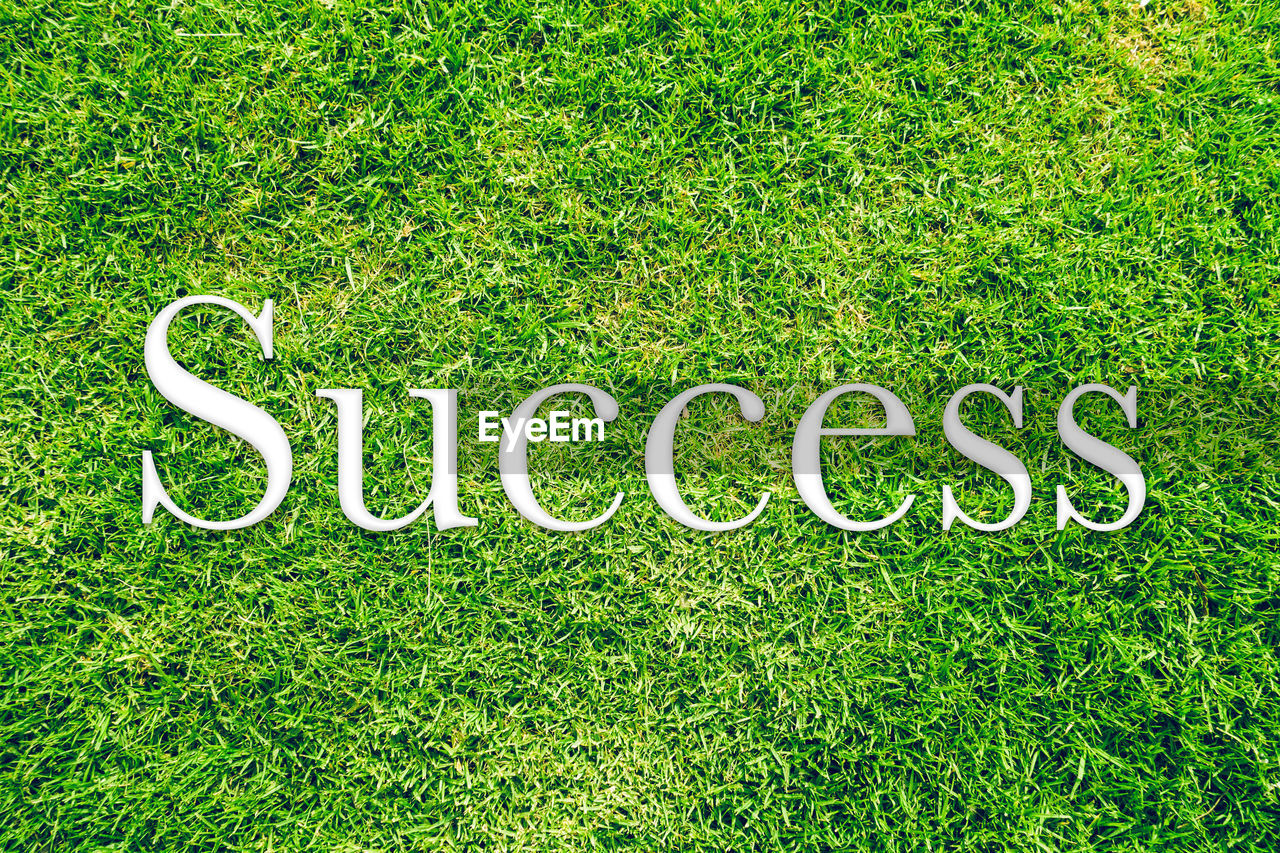 Directly above shot of success text on grass