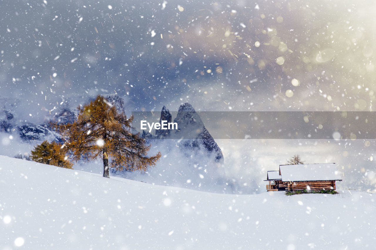 Tree on snowcapped mountain against cloudy sky