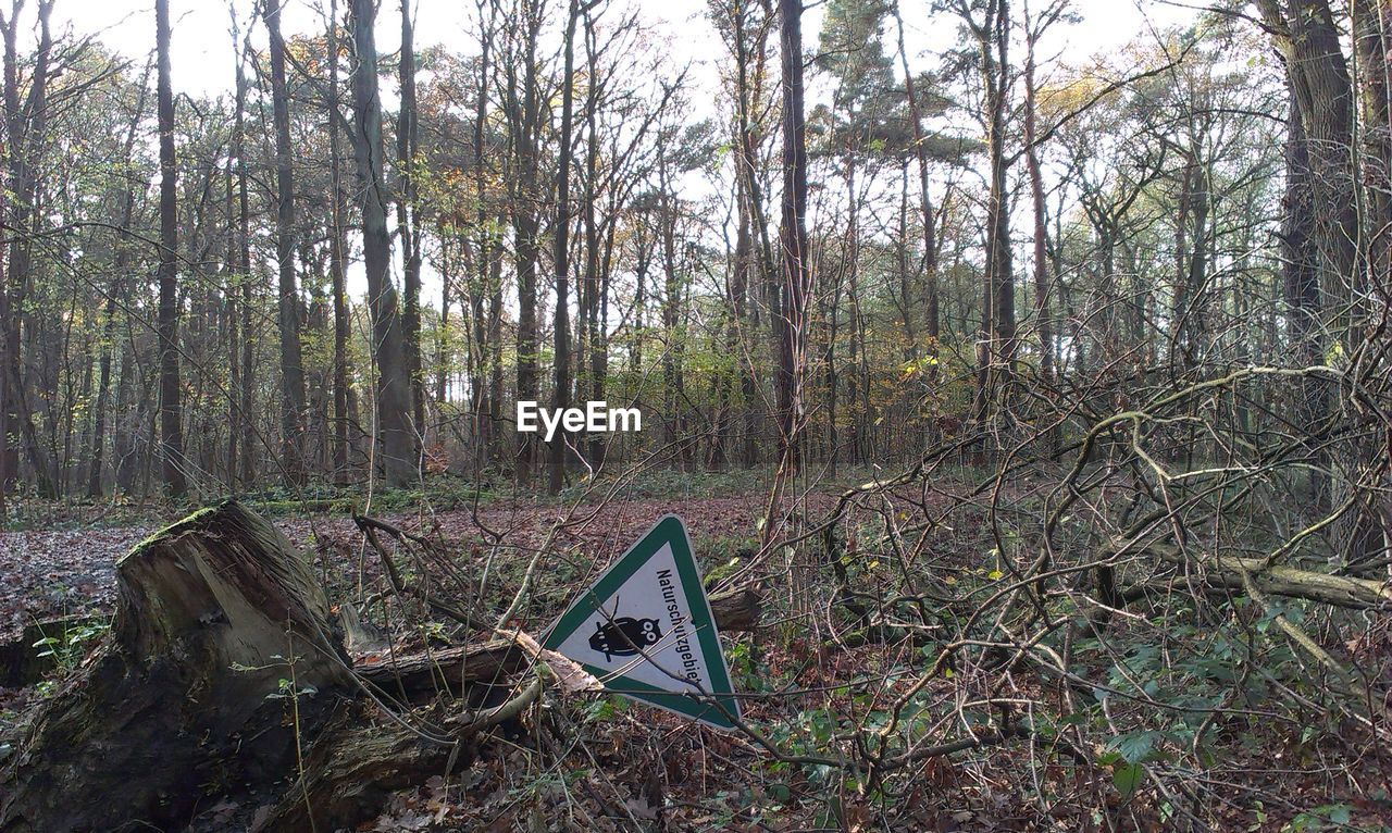 Animal information sign falling down in forest