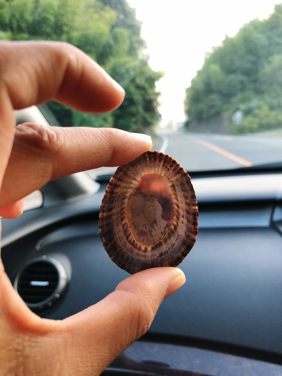 Cropped hand holding mussel in car