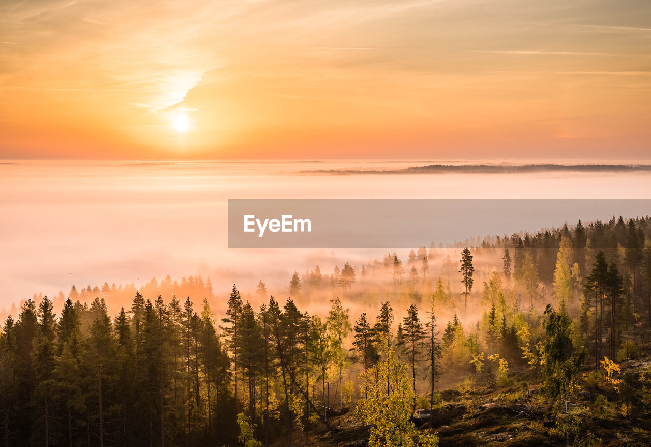 Scenic view of landscape against sky during sunrise