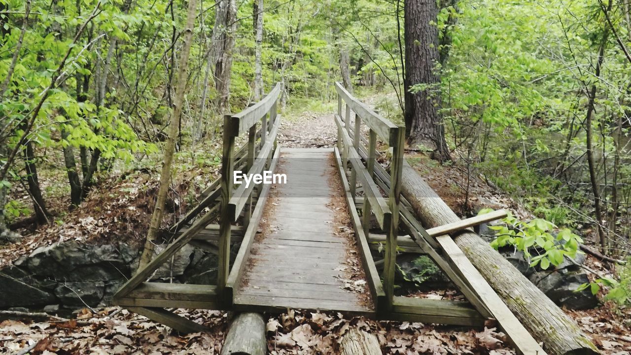 Wooden footbridge in forest