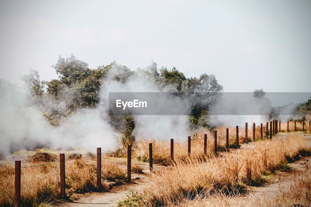 Grassy field against sky during foggy weather