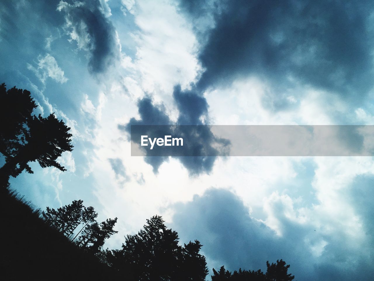 LOW ANGLE VIEW OF SKY AND TREES AGAINST CLOUDY BLUE