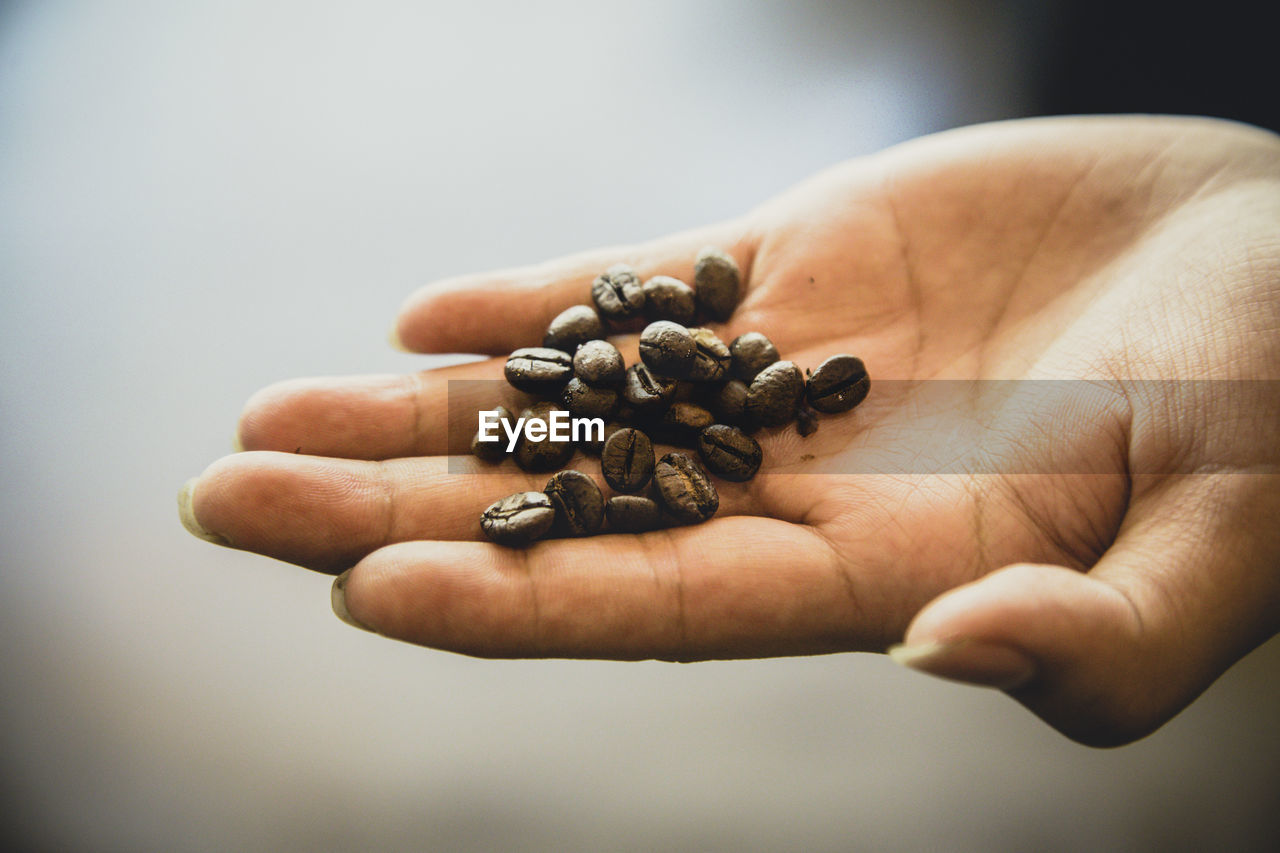 Close-up of hand holding coffee beans