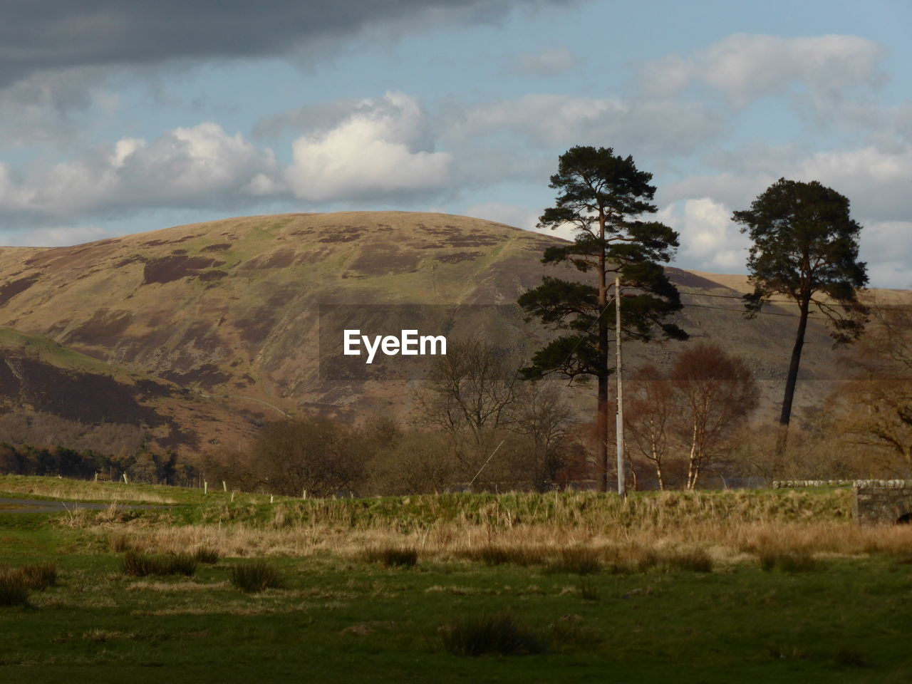 SCENIC VIEW OF LANDSCAPE AGAINST CLOUDY SKY