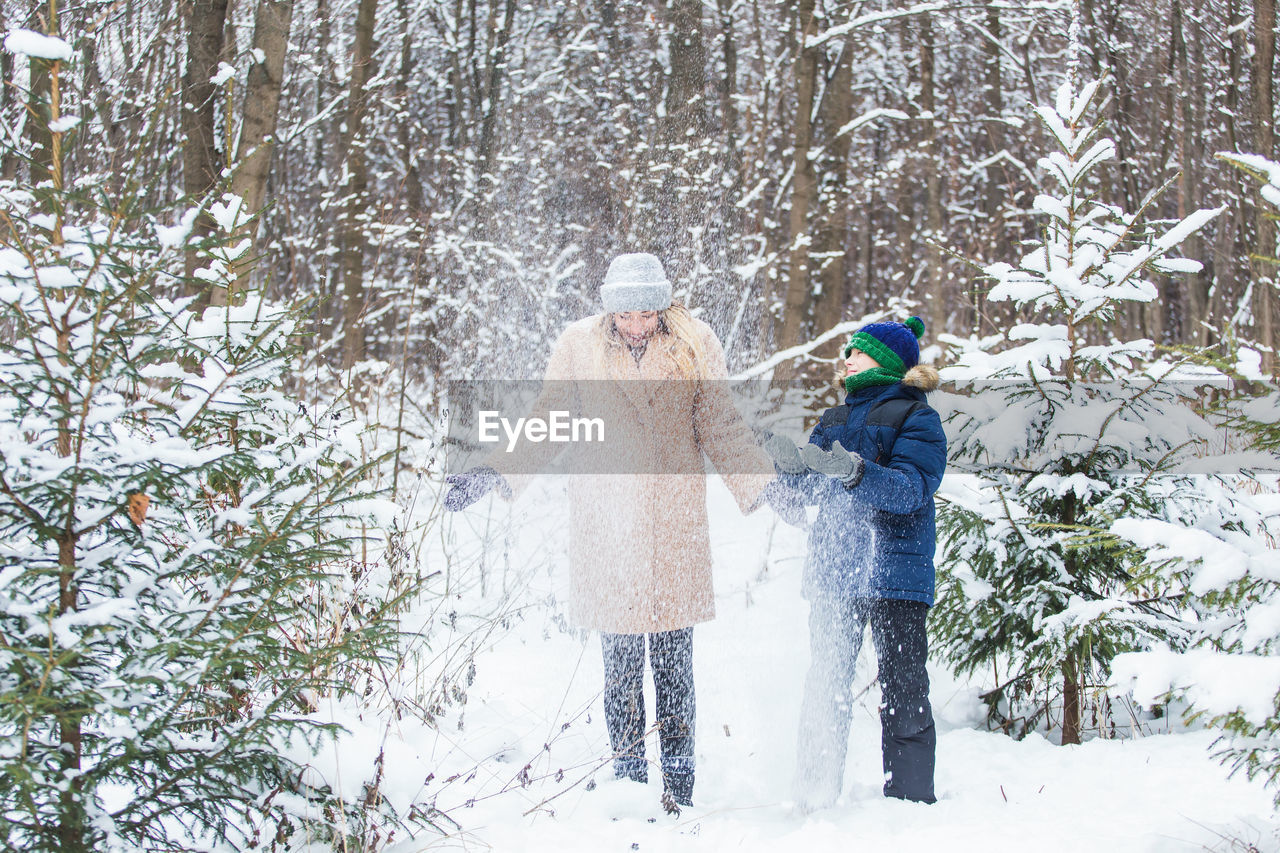 TREES AND PLANTS DURING WINTER