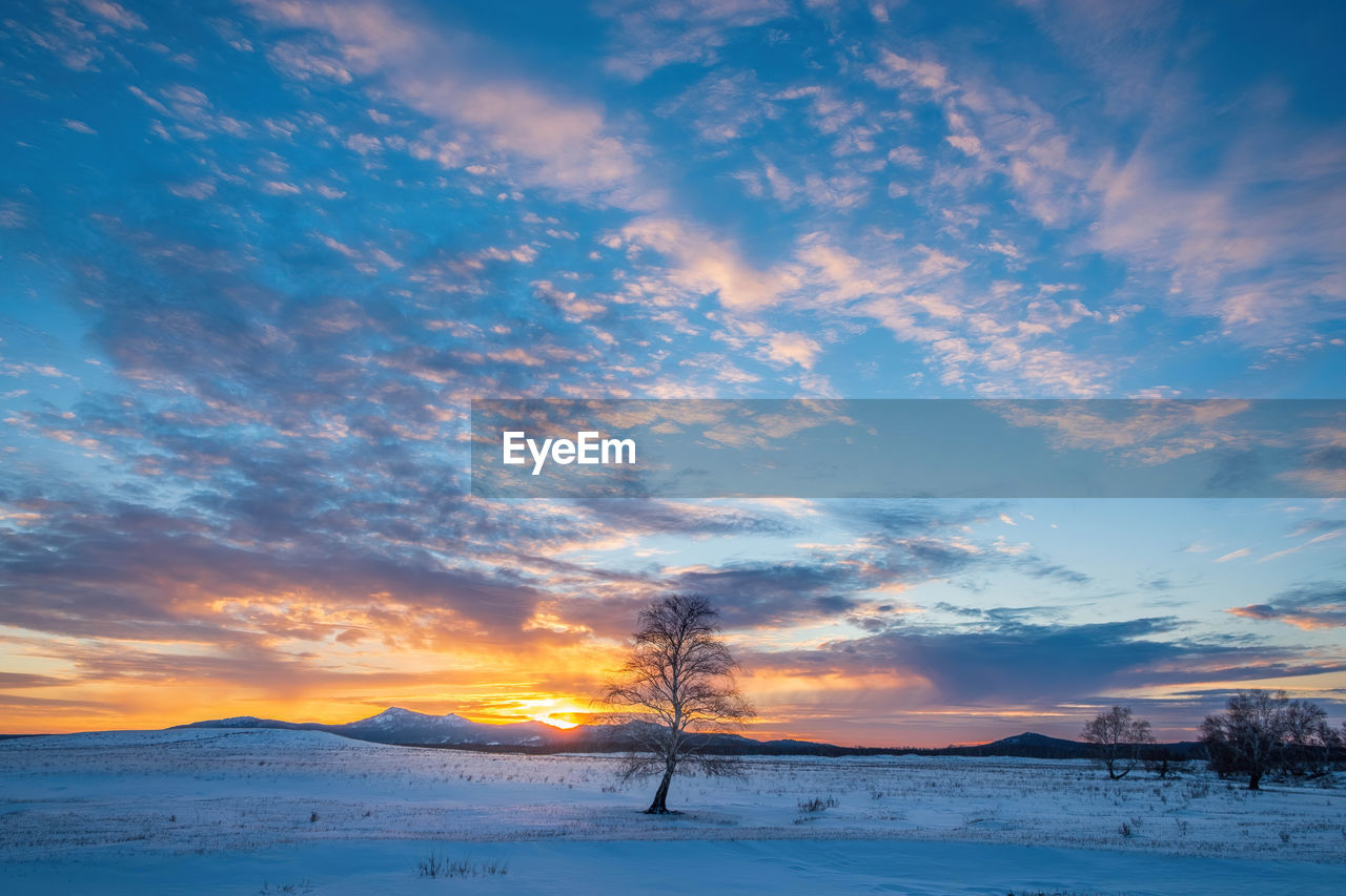 scenic view of snow covered field against sky during sunset