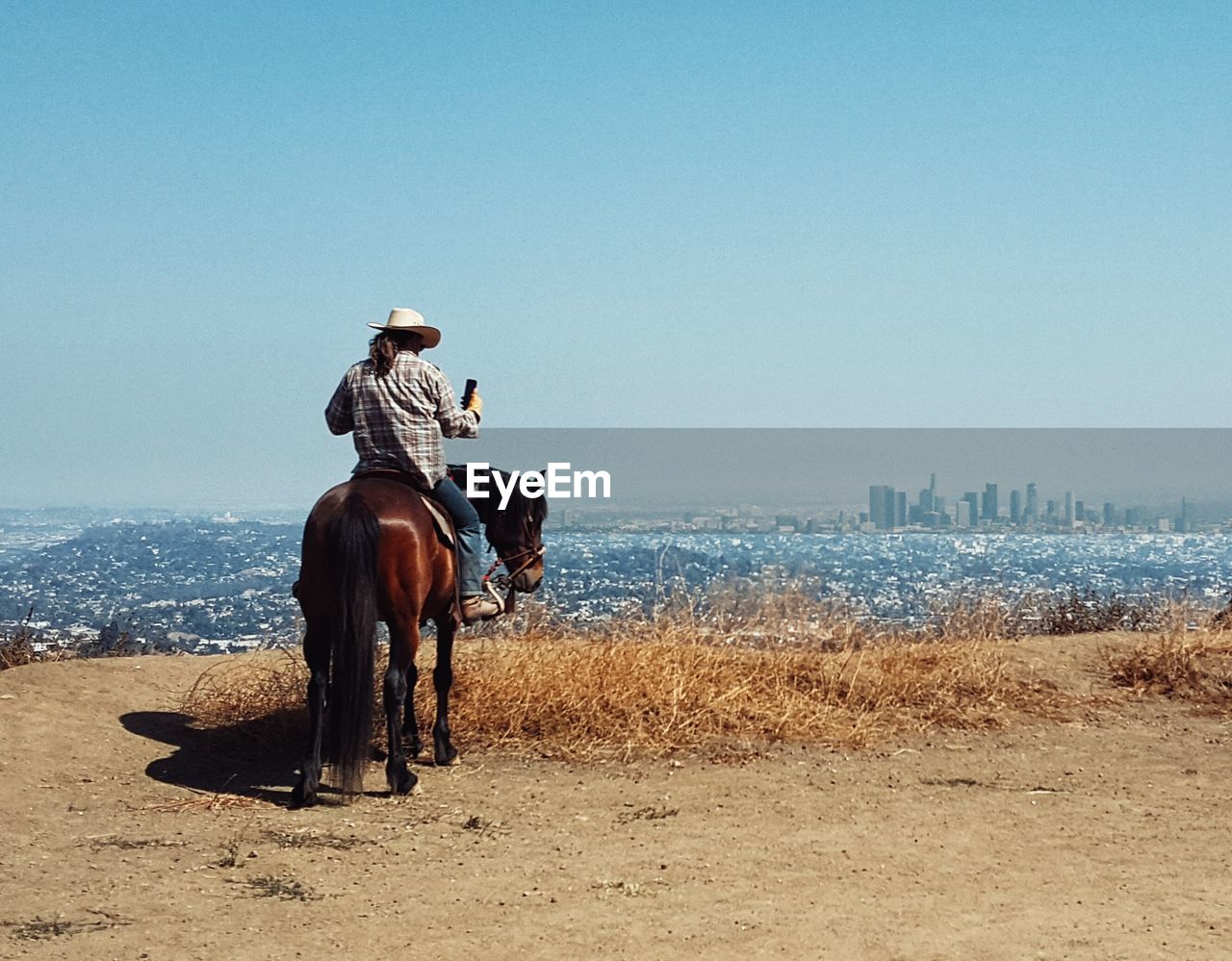 Rear view of cowboy sitting on horse against clear sky