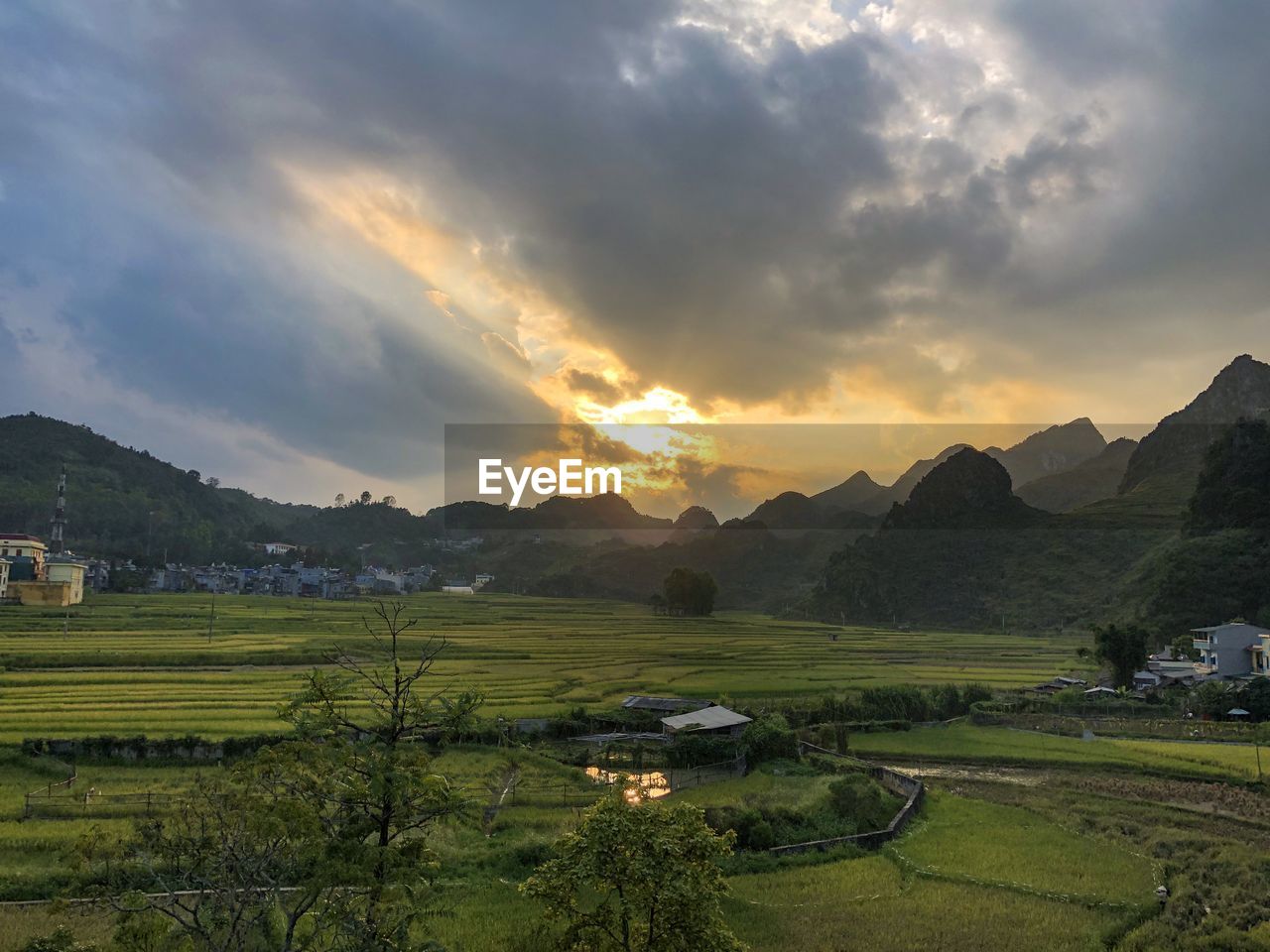 Scenic view of agricultural field against sky during sunset