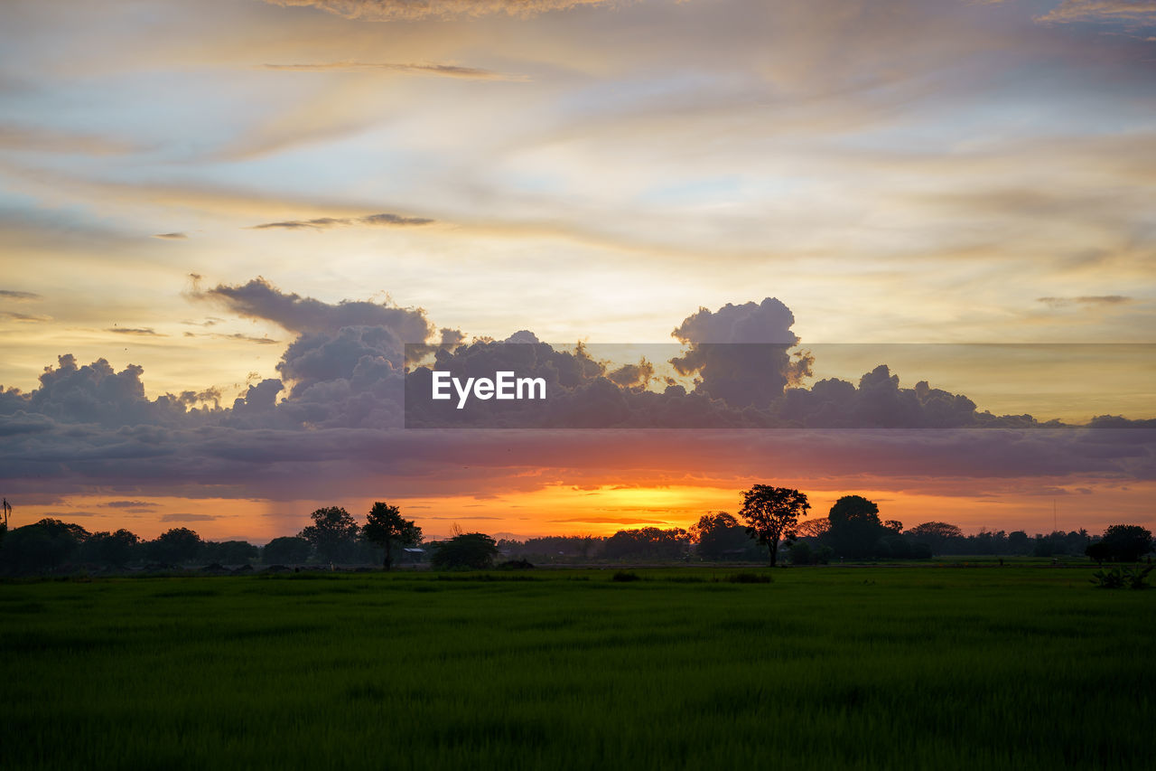 Scenic view of field against sky during sunset