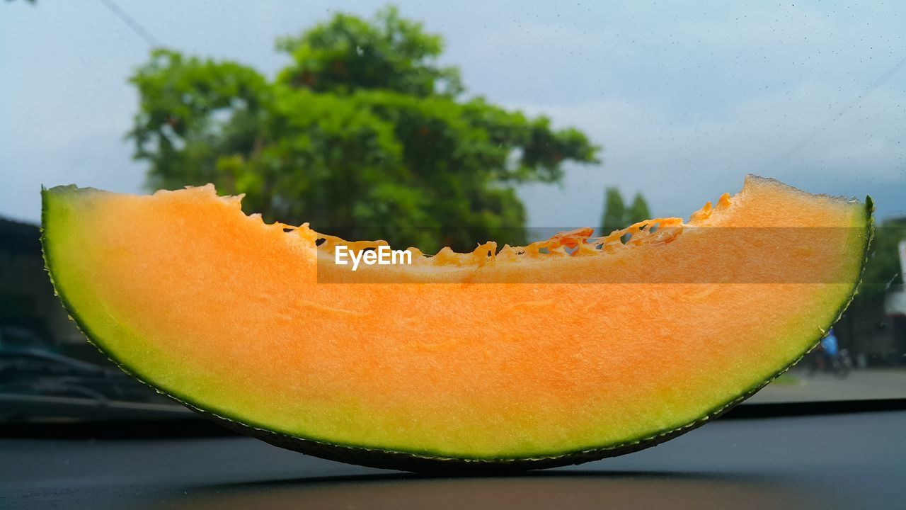 CLOSE-UP OF ORANGE FRUIT IN PLATE