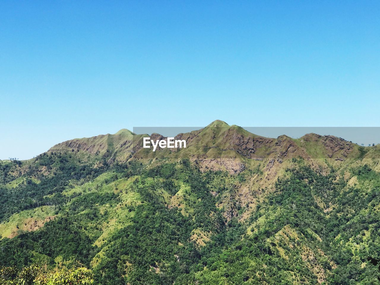 LOW ANGLE VIEW OF TREE MOUNTAIN AGAINST CLEAR BLUE SKY