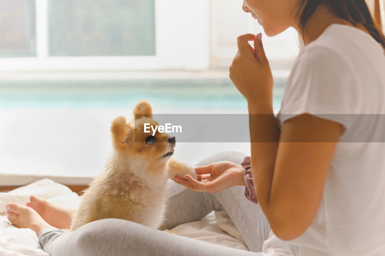 Side view young asian woman training her pomeranian dog at home indoor.