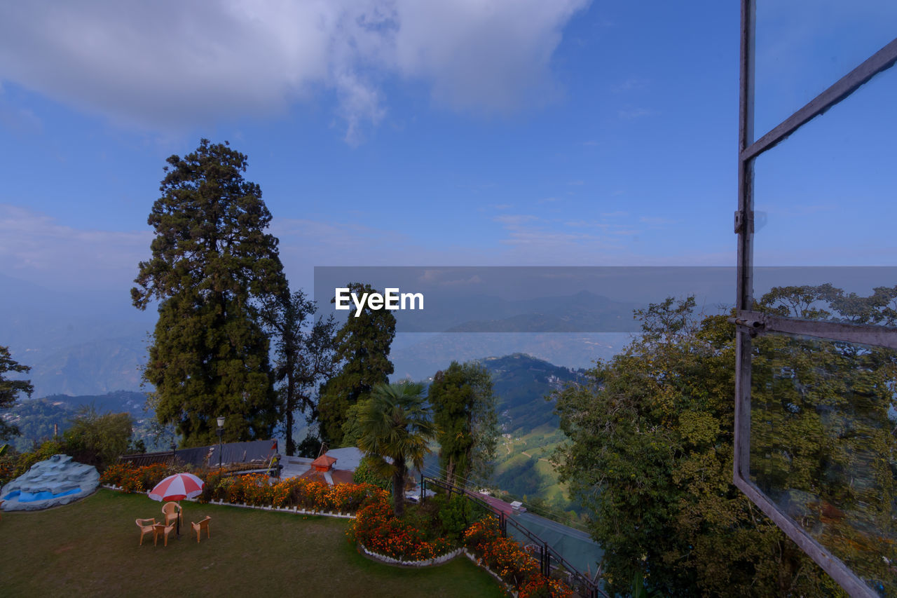 VIEW OF A TREE ON MOUNTAIN LANDSCAPE