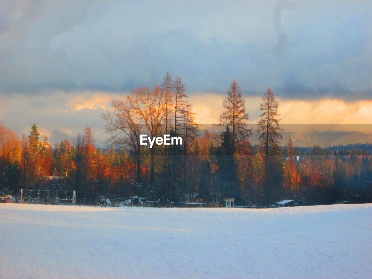 Snow covered field against cloudy sky at sunset