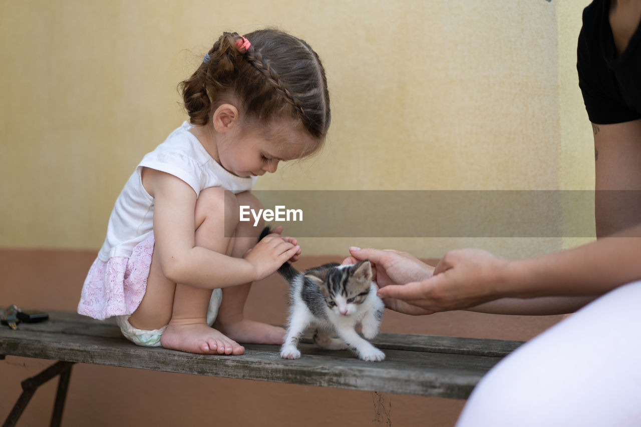 Cute girl playing with kitten on bench