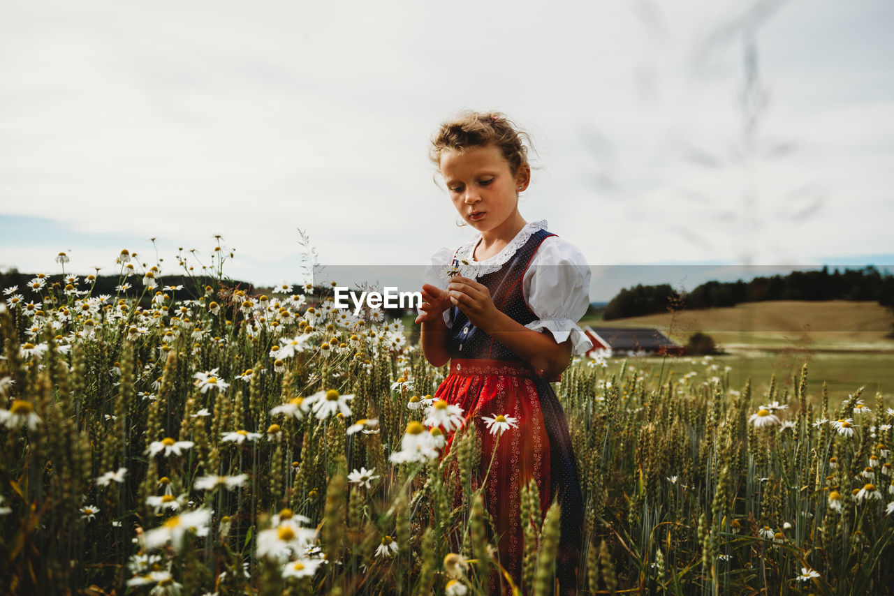 Beautiful girl collecting daises at field in norway wearing dress