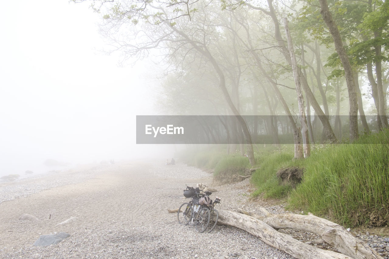 Scenic view of foggy beach with bikes
