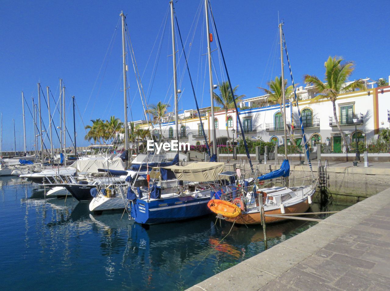 Sailboats moored in harbor