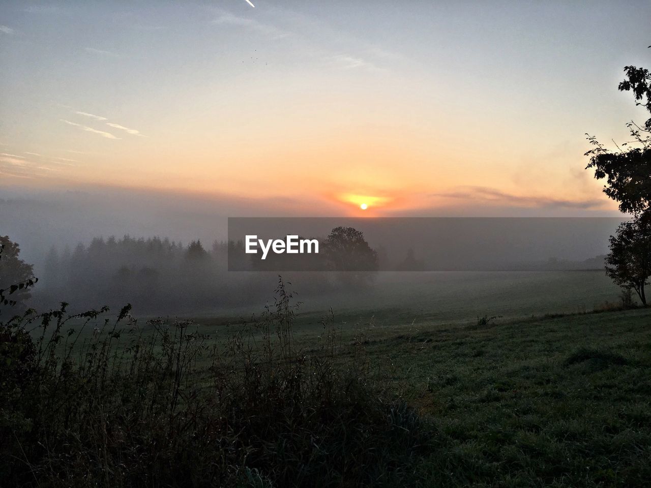 Scenic view of field against sky during sunset