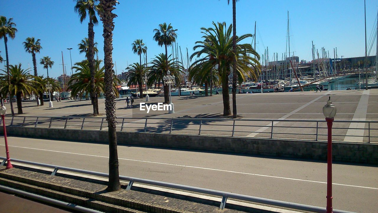 PALM TREES BY ROAD AGAINST CLEAR SKY