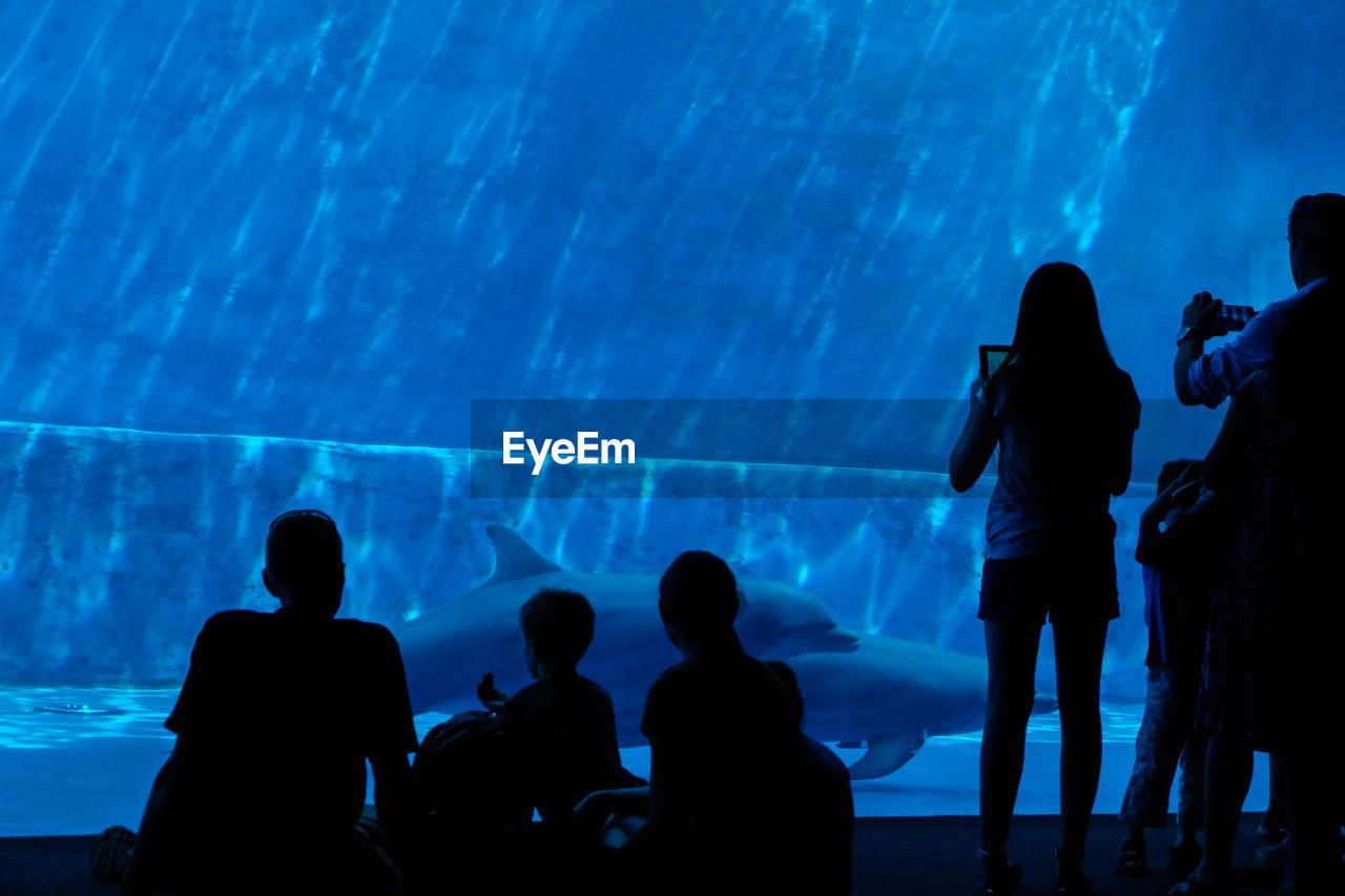 Rear view of people at aquarium