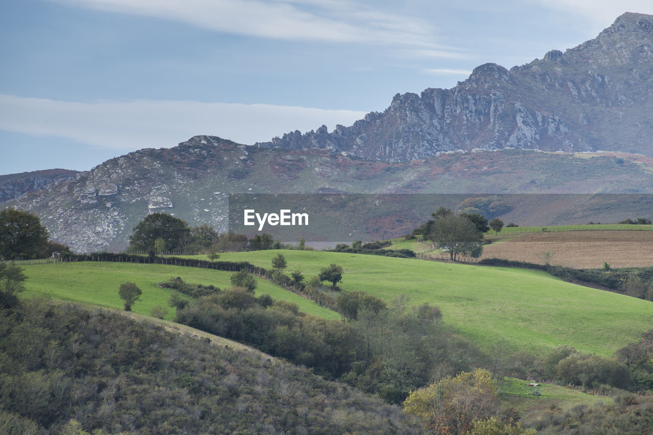 Scenic view of landscape against sky