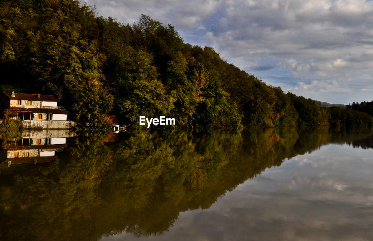 Scenic view of lake by trees against sky